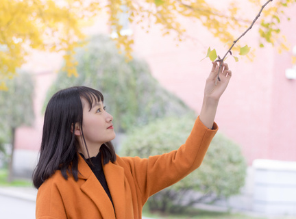 触摸天空手游bt版下载