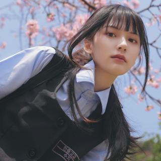 宝可梦live手机版下载